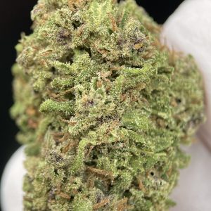Forbidden Fruit