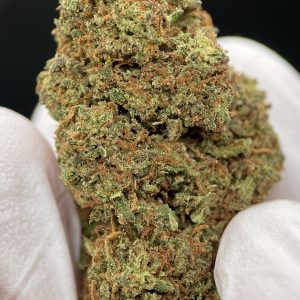 Fruit Cake