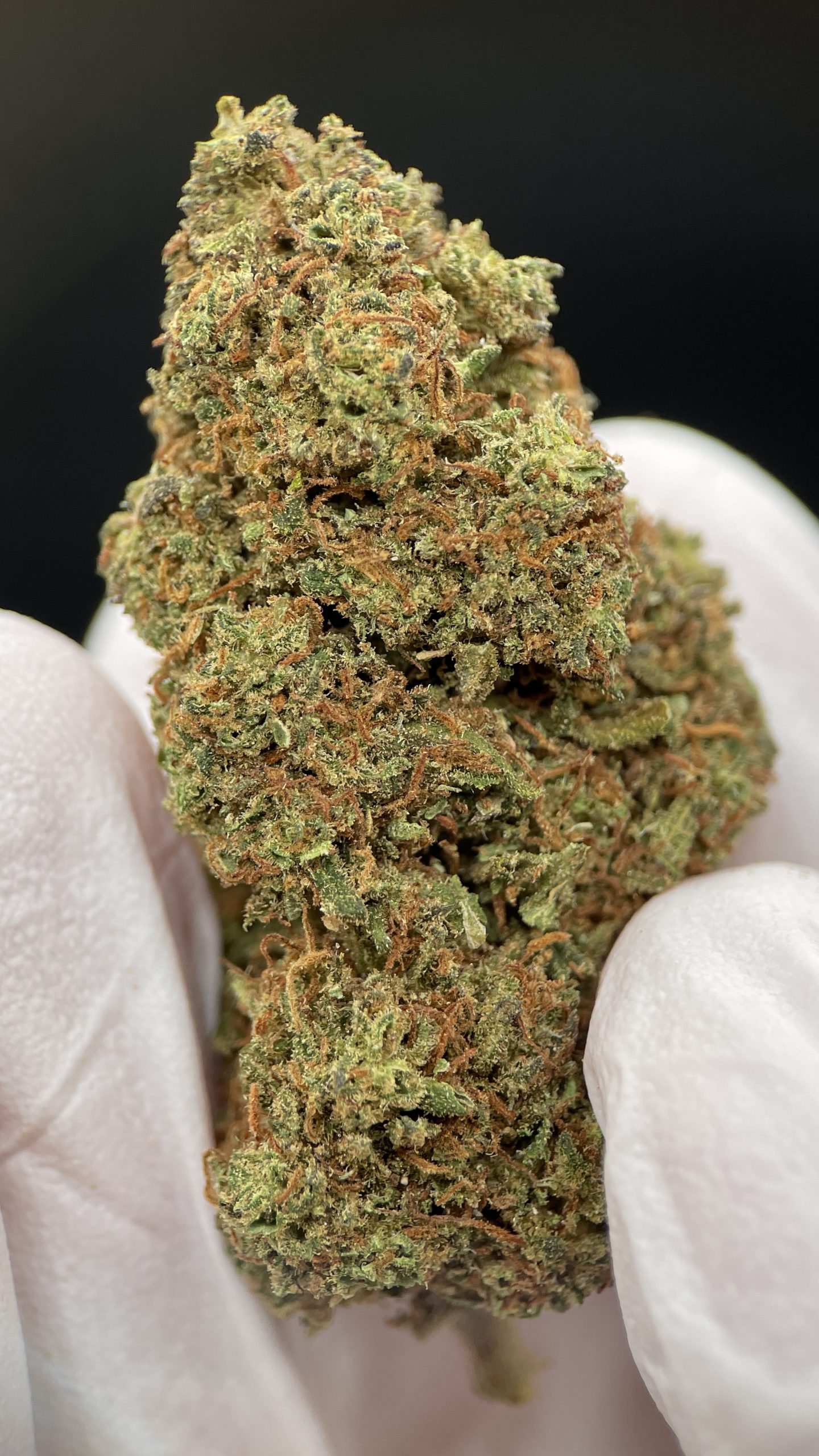 Fruit Cake
