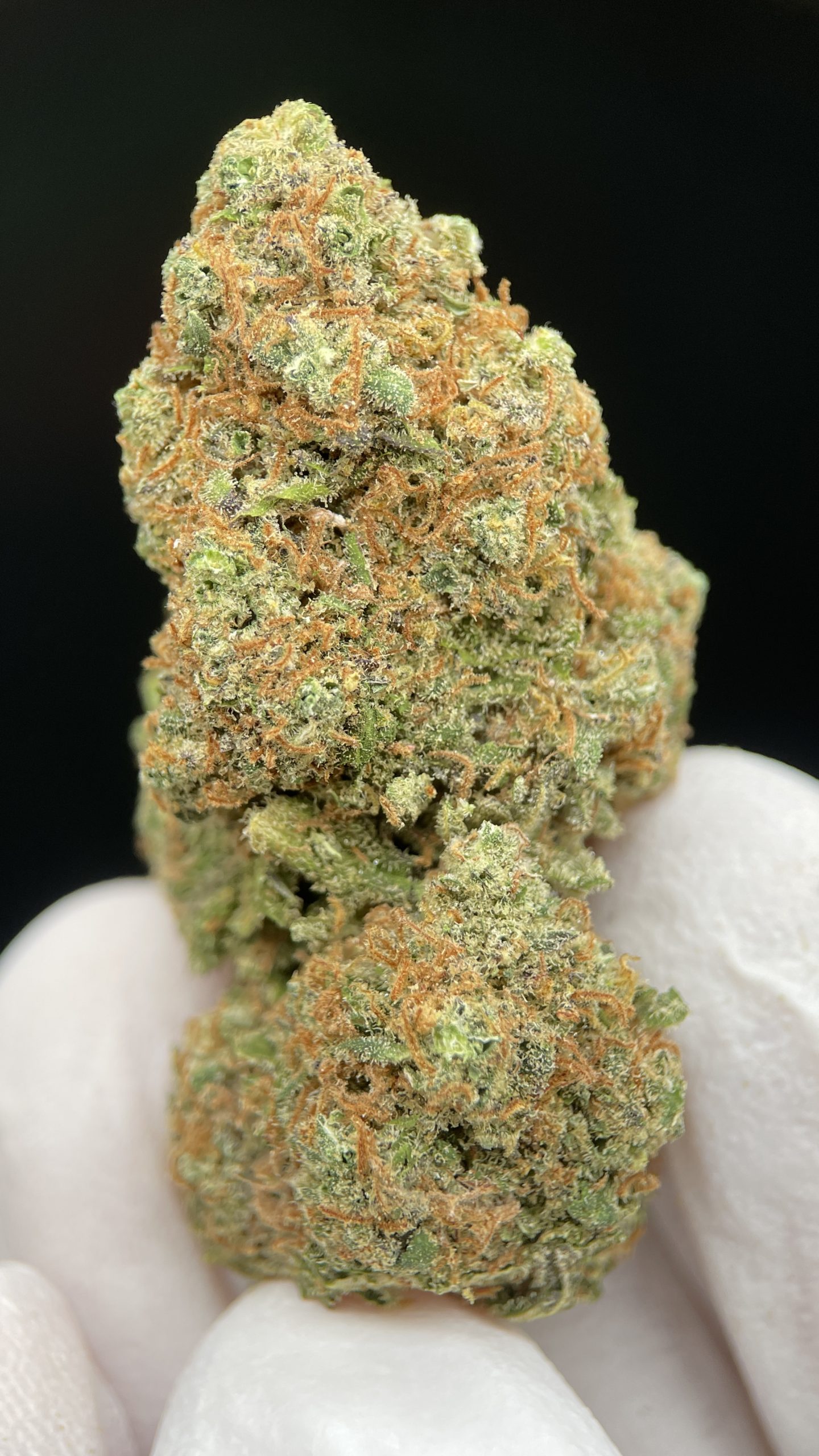 Cookies (Girl Scout Cookies)