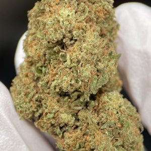 White Widow