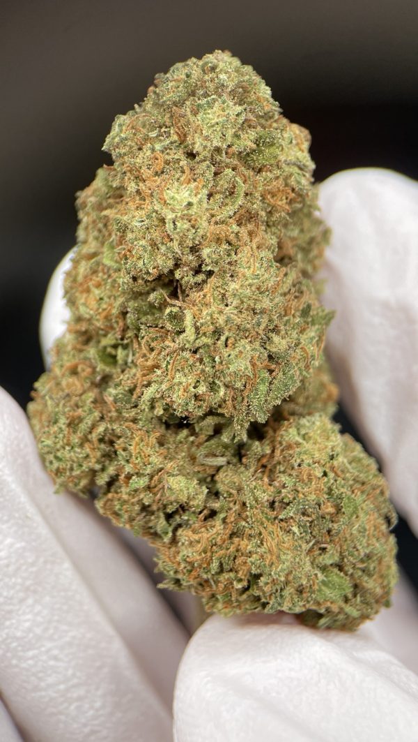 White Widow