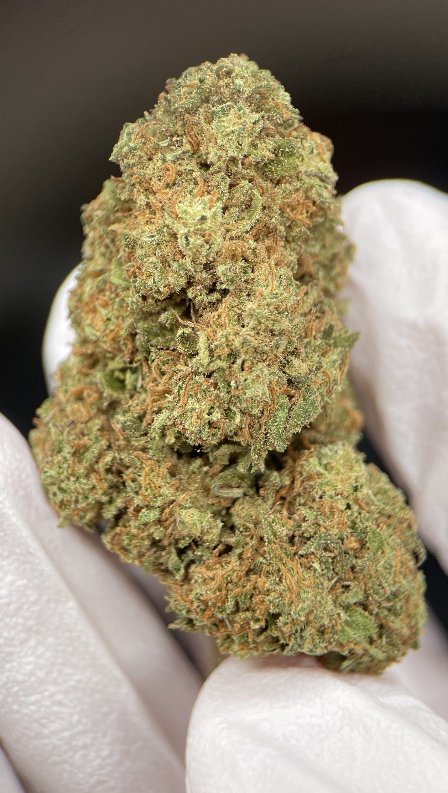 White Widow