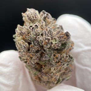 Bubblegum