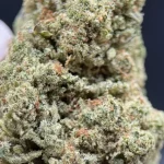 Cogollo de CBD de calidad extra